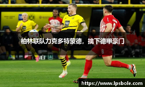 星空体育网站入口
