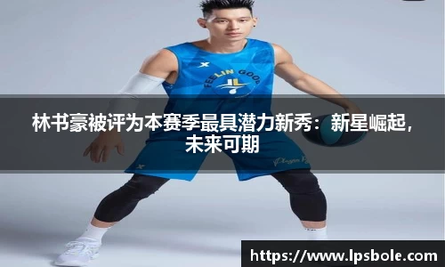 星空体育网站入口