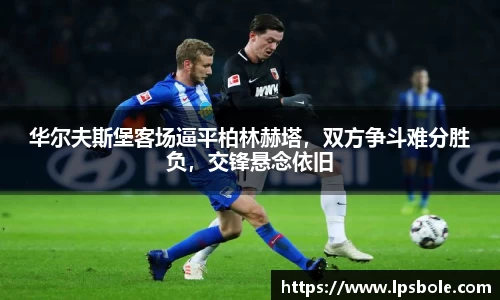 星空体育网站入口