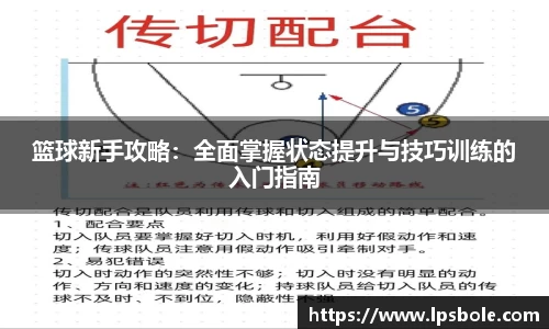 星空体育(中国)官方网站