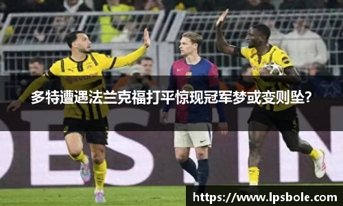 星空体育网站入口