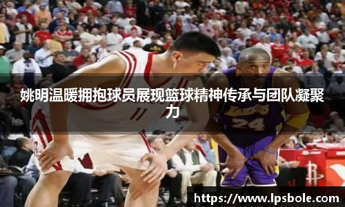 星空体育(中国)官方网站