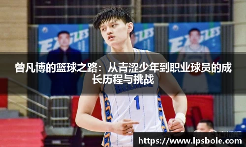 星空体育(中国)官方网站