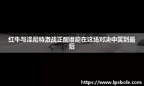 星空体育平台app